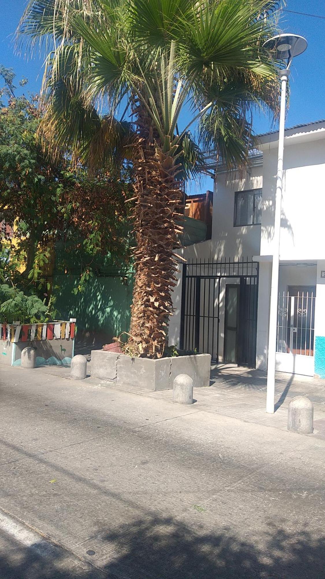 Hostal La Ruca Antofagasta Buitenkant foto